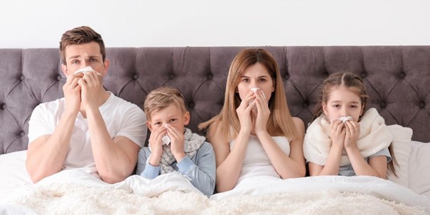 influenza ellen 