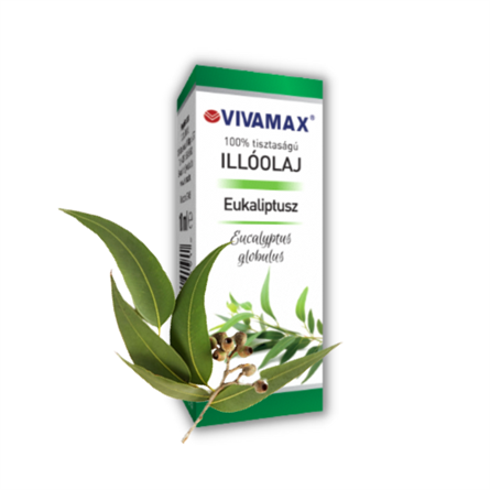 Eukaliptusz 100%-os tisztaságú illóolaj (10 ml)